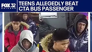 Police looking for teens who allegedly beat person on CTA bus