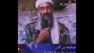 Osama Many Men edit