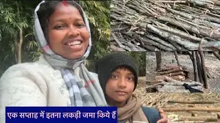 @गांवकीगोरी Vlog 755#कितना लकड़ी जमा कर पाए? कुछ दिन और रहते तो और ज्यादा जमा कर लेते l 