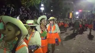 Carnaval de Tupiza 2020, comparsa Flor del Oriente Yurcuma