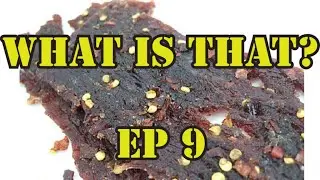 #shorts #whatisthis #pestcontrolguys   What is that? Ep 9