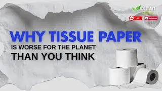 Why Tissue Paper is Worse for the Planet Than You Think