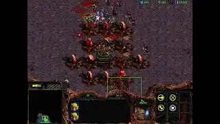 StarCraft 星海 2026 01 12 異形1V7隨機 不封門 狗海 示範