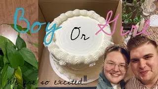 Baby Riley Gender Reveal | TEAM RILEY 