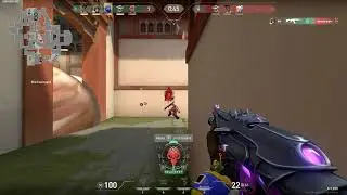 pengoonii