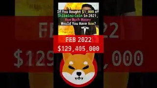 Если бы вы купили монеты SHIBA INU COIN на 1000 долларов, сколько денег у вас сейчас было бы? (Сентябрь 2022 г.)