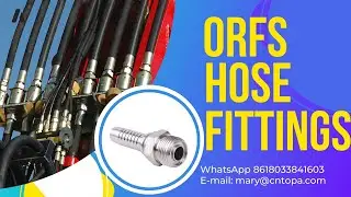 Komatsu Tompkins Caterpillar Ryco Hose 24211 Flat Face Orfs O Ring Parker Hydraulic Fittings