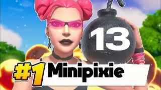 13 Kill win in Solo ranked 🏆( Season 2 ) | Mini Pixie
