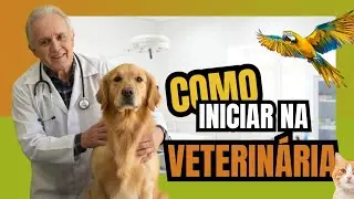 ABRIR UM PET SHOP E FAZER VETERIN&Aacute;RIA.