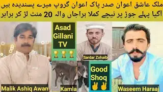 Pakistani Top Class Bully Breed Dog Name Kamla Harajaan  Wala Jor 1 Braber After 20 min 