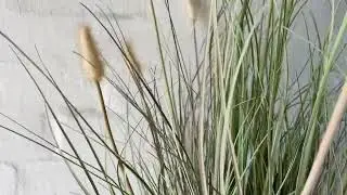 Artificial Grass | Bunny Tail