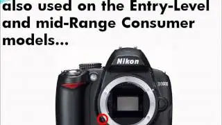 Nikon DSLR FEE Error