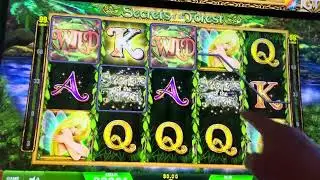 SECRETS OF THE FOREST BONUS 🎄🍀☃️🙏🫶👍