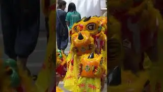 Мастер-класс по танцу льва для детей