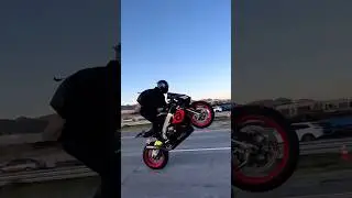 Power Wheelie on brutal Aprilia🔥🥵 #shorts #viral #youtubeshorts #aprilia
