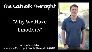 The Catholic Therapist - Why We Have Emotions