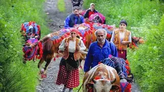 جنة الله في ارضة  تنظيم وسحر 10 دقائق في الجنة🌹تنسيك كل هموم الدنيا🌹 ستتمنى ألا ينتهي الفيديو