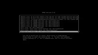 Dual Booting Windows and Linux - with only One Drive
