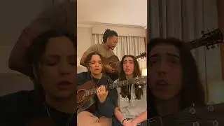 new song #newmusic #loveyou #mudroom #harmony #flicker