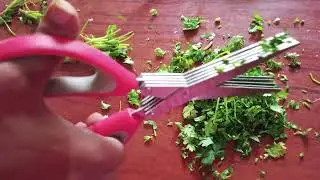 Vegetable Cutting Scissors Unboxing & Review | Best Kitchen Essentials !