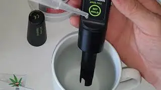 Ich Teste denn Milwaukee PH56 PEN (Was ist da drin? #cannapeace #cannabiskunst