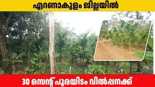 Land for sale in Vengoor  Ernakulam | peter mathew 30.12.2025