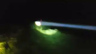 Lamping with a new prototype pill in the Night Saber Alpha V2, Best lamp for lurchers & running dogs