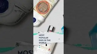 Most Popular Gins in the World 🌎 #gin #bar #bartender #trending #viral #shorts #short #gintonic #yt
