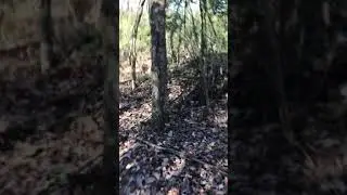 Rangeline ￼￼Nature preserve￼