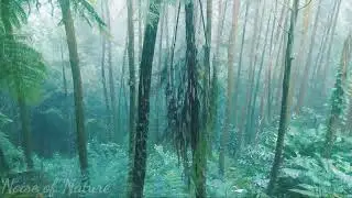 1 Hours Rain in the Jungle, Water Spring, Water Sound, Relaxing, Meditation, Yoga, Water Rivers