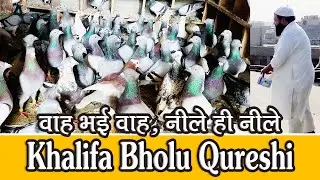 Khalifa Bholu Qureshi K New 300  Neelay Patiyalay Kabutar Ka Shok, Delhi Ki Kabutar Bazi