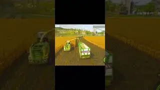 Corn Forage Harvesting | fs25 #fs25 #farmingsimolater25 #shorts