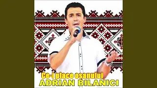 Ce-I Place Osanului