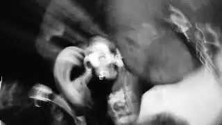 lust for food. Avi #fypaige #fypviral #noisecore #noisepunk #grind #fypシ゚ #punk