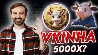 VKINHA / Earn rewards by locking their tokens / Meme token on the BSC 💲🤑