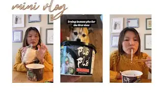 Trying instant pho for the first time 🍜