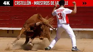 LOS MAESTROS DE LA CALLE LLEGARON A CASTELLÓN
