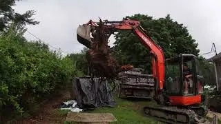 Previously Abandoned Oil Tank Removal with Full Remediation