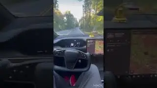 Tesla model X Plaid 2022 auto pilot on the back roads.