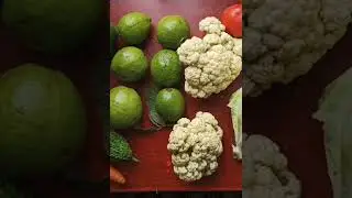 #Mini vlog-4 কিনলাম snail 😳#bengalivlog #momandpogo'slife#marketing #dailyvlog