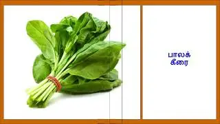 Keerai Vagaigal in Tamil | Varieties of Spinach | Get To Know Today!! #KeeraiVagaigal #TypesOfKeerai