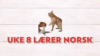 Uke 8