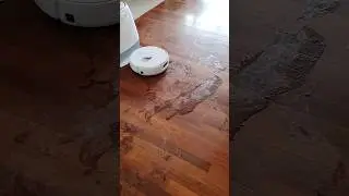 Il Robot definitivo per pulizie senza pensieri 🤖🧹 #robotaspirapolvere #narwalfreo #amazonfinds