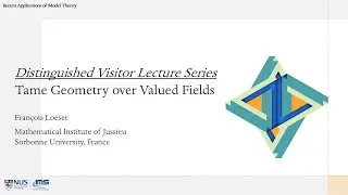 Tame Geometry over Valued Fields