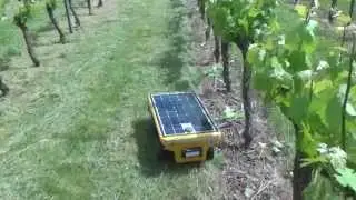 Le robot de tonte VITIROVER