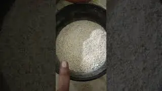 pacha jonna gatka old is gold