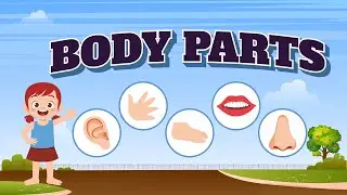 Interactive Body Parts Learning for Preschoolers: A Fun and Engaging Way to Learn