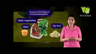 Class 6 I CBSE I Nutrients in common food items I Components of Food I Biology