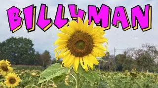 งดงาม - Billyman [OFFICIAL LYRICS VIDEO]