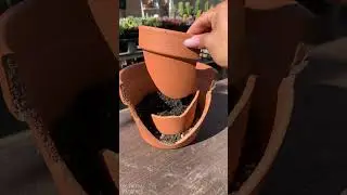 dollar tree diys + pallet planter + succulent art! 🛠️🌸